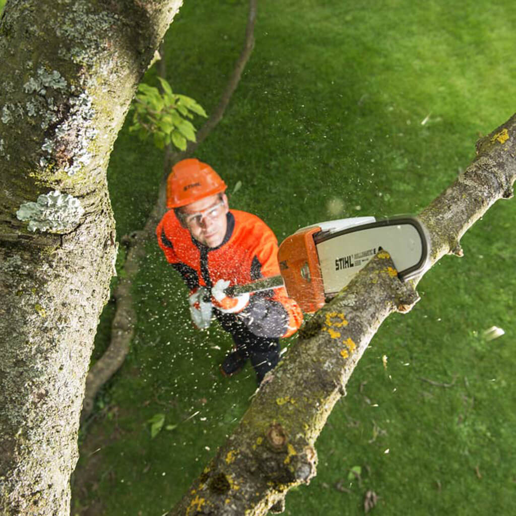 Высоторез аккумуляторный Stihl HTA 85