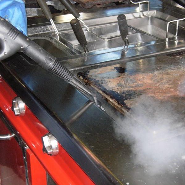 Парогенератор электрический Menikini ML5