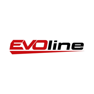 Двигатель бензиновый EVOline GB 550 V EFI