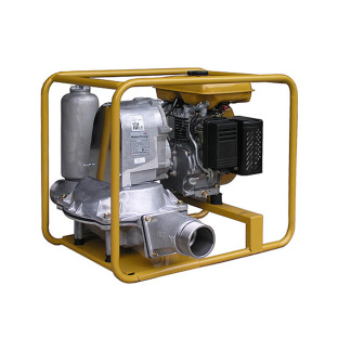 Мотопомпа бензиновая Daishin PTG 307 D