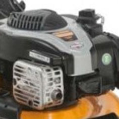 Высокопроизводительный и долговечный двигатель американской марки Briggs&Stratton