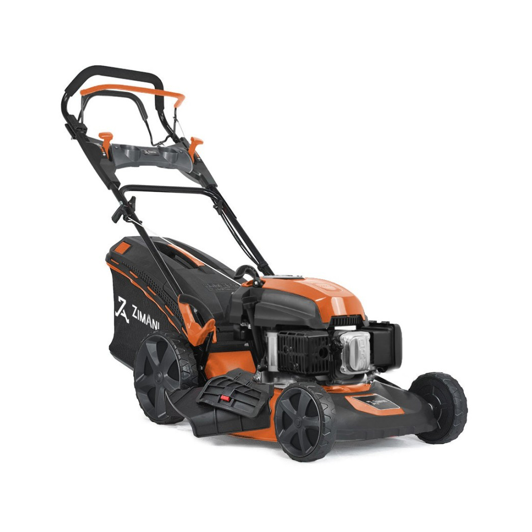 Zimani lc 251v Zimani lc 251v